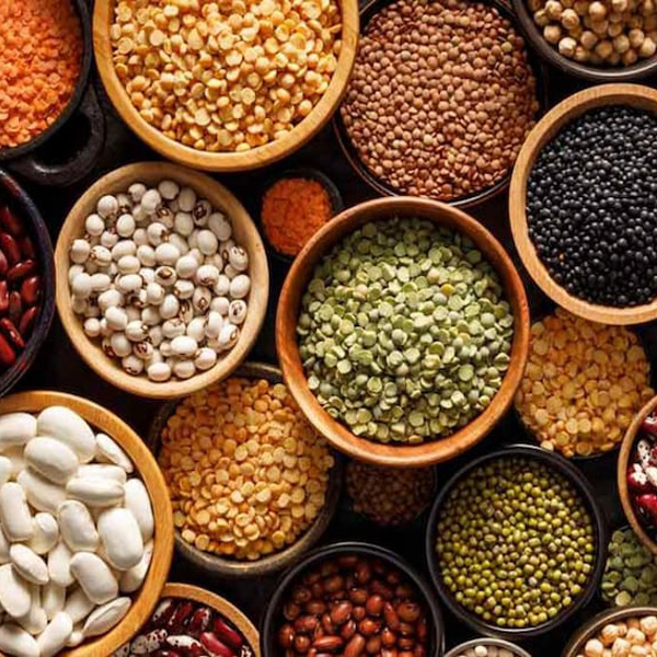 Indian Pulses In Indore